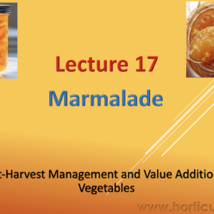 Marmalade PPT